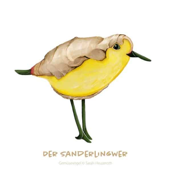 c: Sarah Heuzeroth Der Sanderlingwer